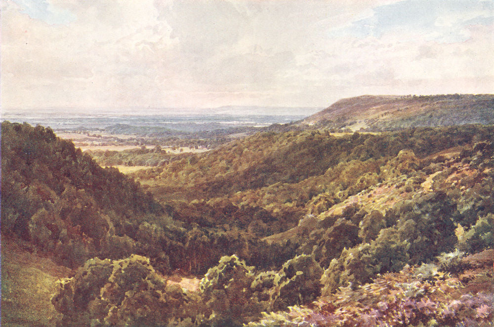 PEASLAKE. Pilgrims way. hills above, Gomshall 1912 old antique print picture